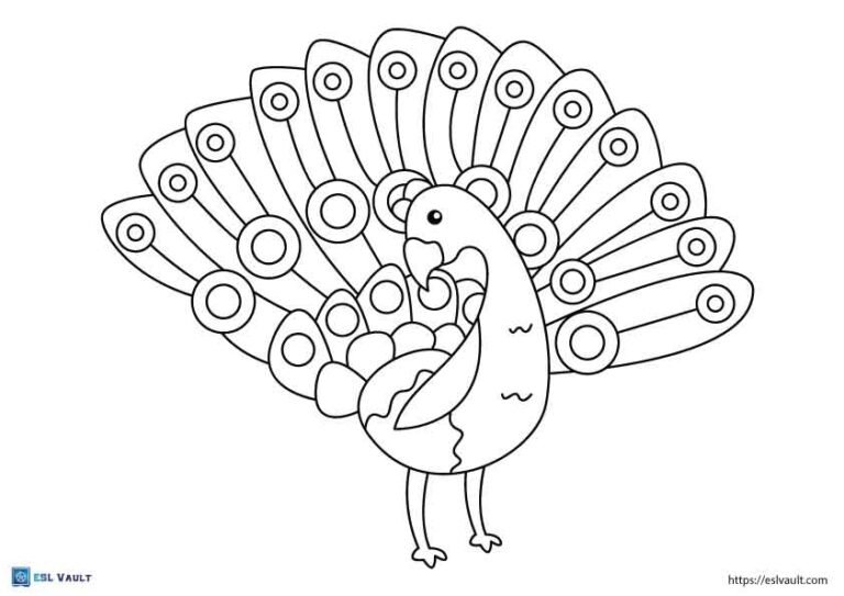 easy peacock coloring pages 1
