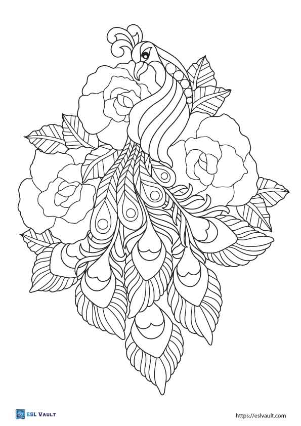 free peacock coloring pages