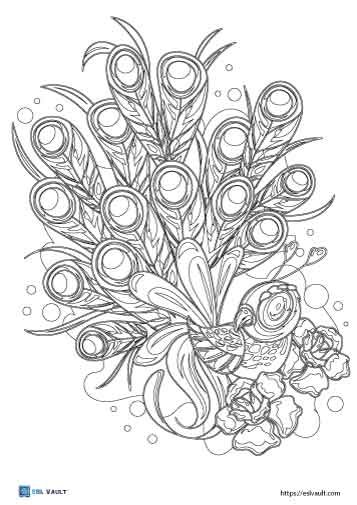 intricate peacock coloring page
