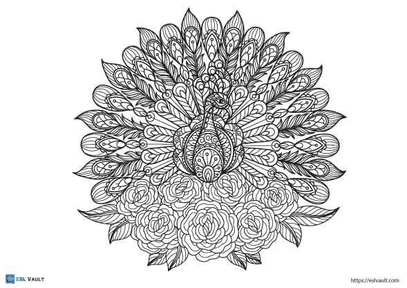 mandala peacock coloring pages 3