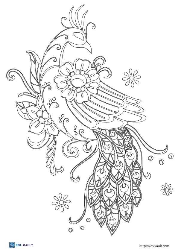 peacock coloring pages pdf