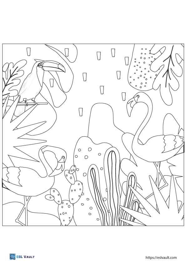 toucan flamingo coloring page