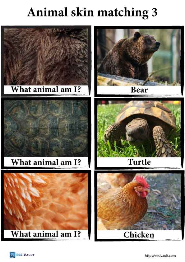 animal skin matching game 3