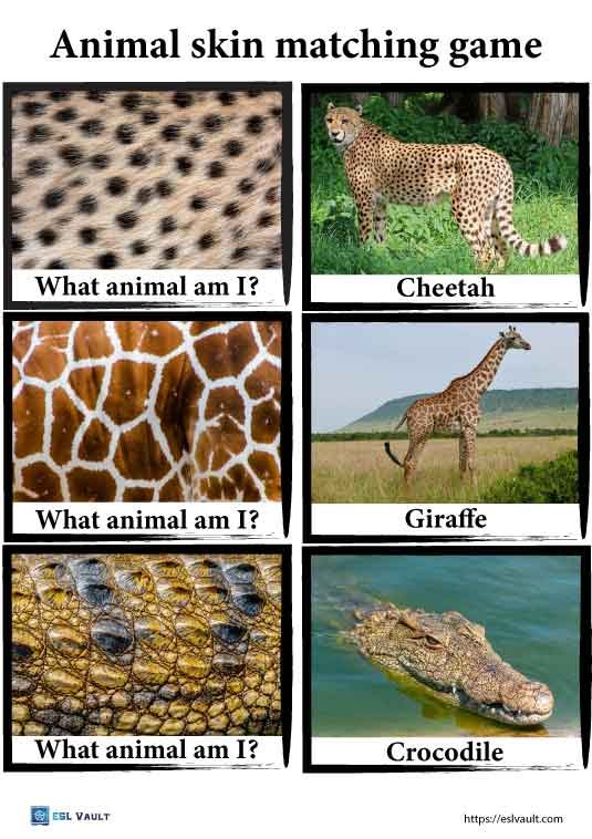animal skin matching