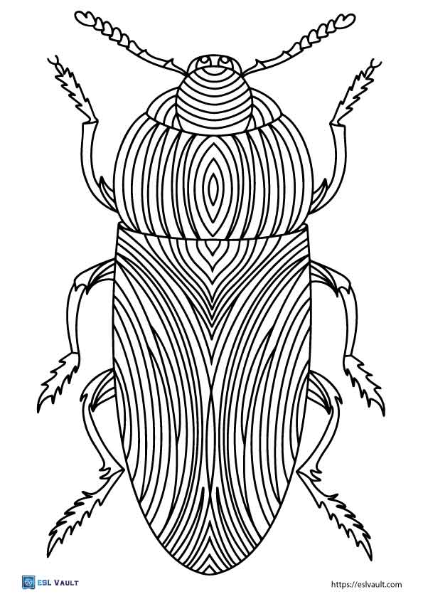 click beetle coloring pages