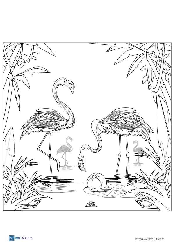 flamingo coloring page printable