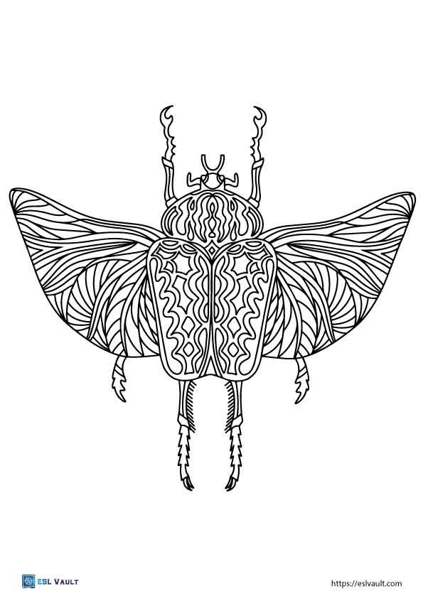 flying beetle coloring pages