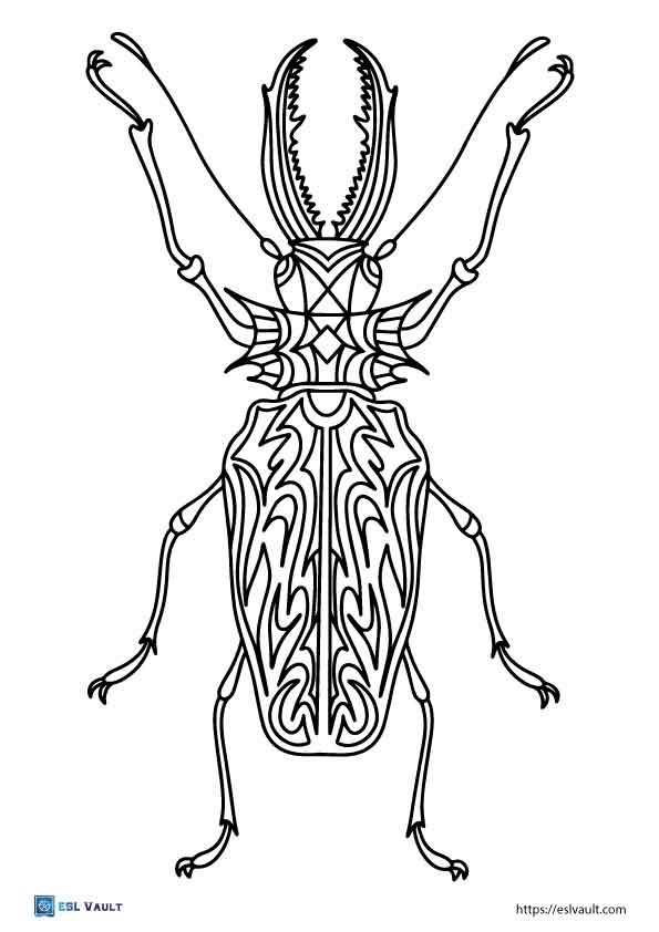 free printable beetle coloring pages