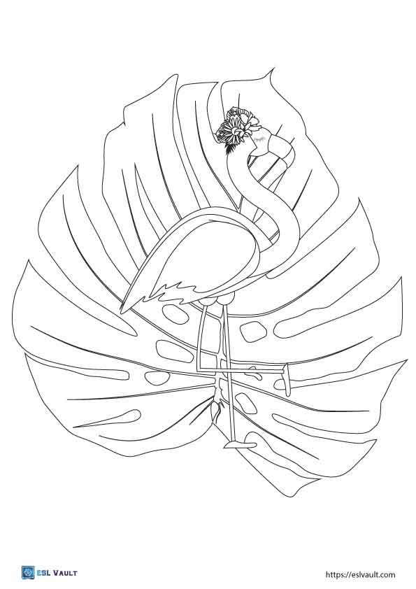 free printable flamingo coloring pages