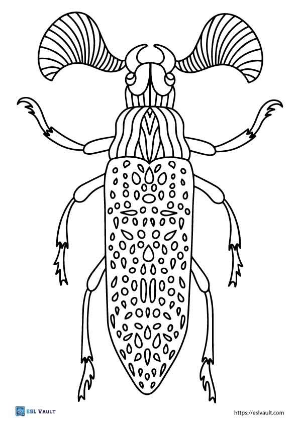 fun beetle coloring pages pdf