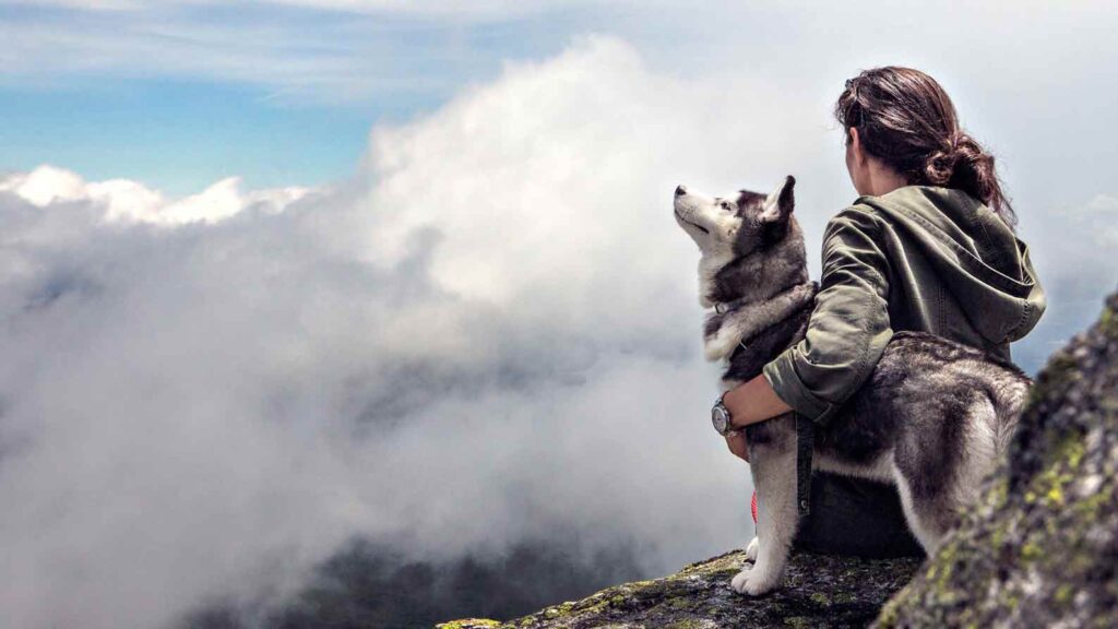 girl with husky dog
