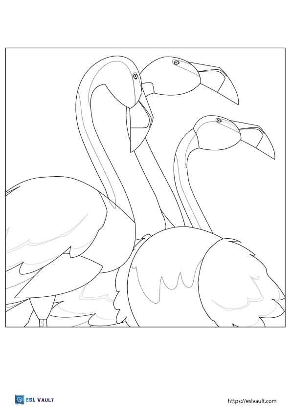 kids flamingo coloring page