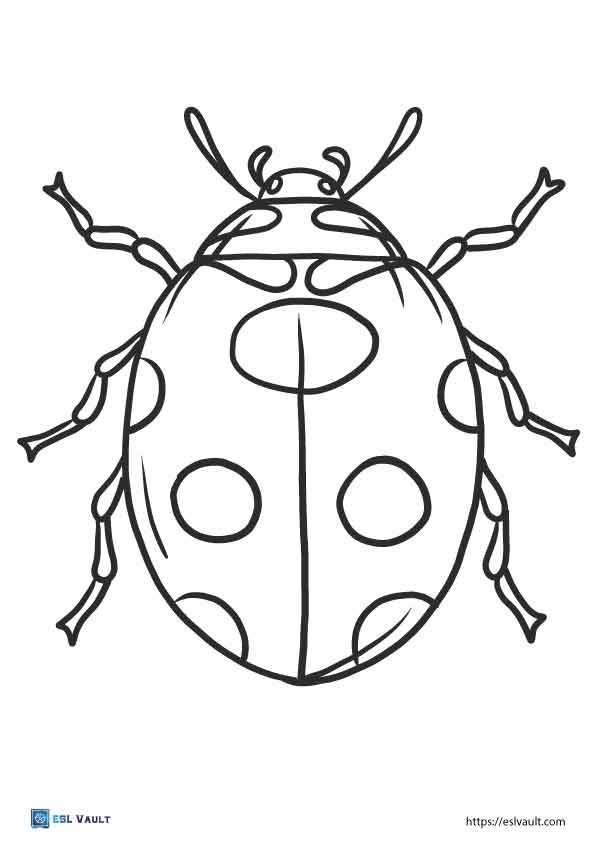lady beetle coloring pages
