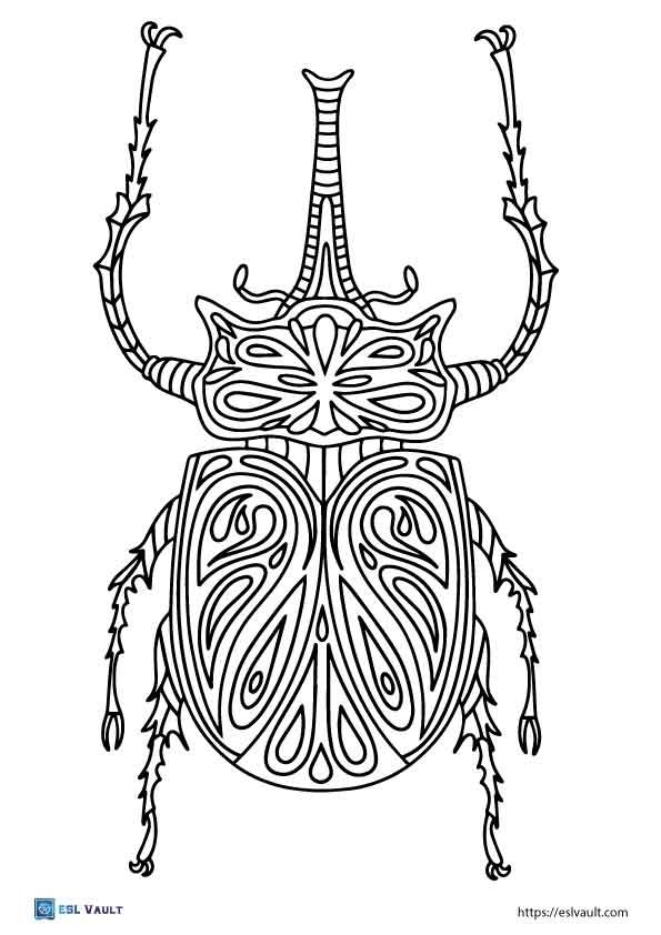 patterned beetle coloring pages