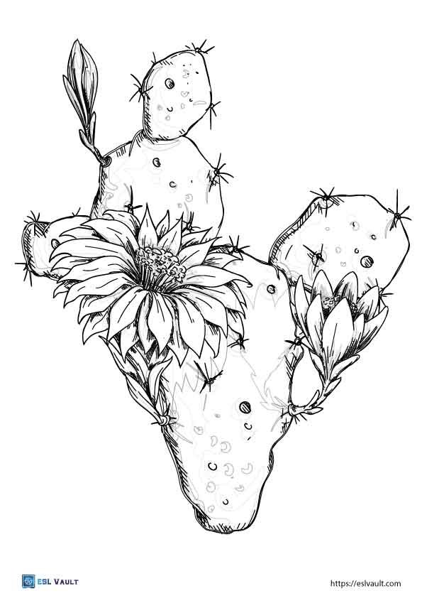 prickly pear cactus coloring page