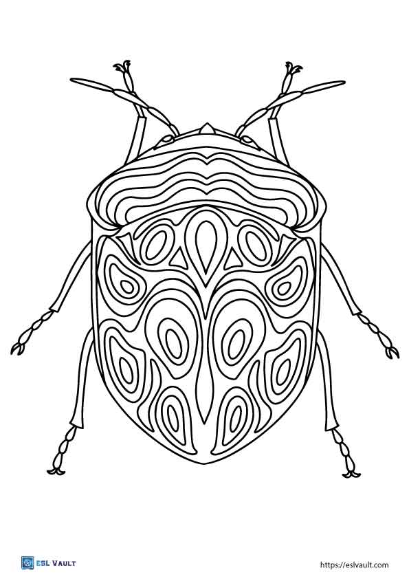 printable pdf beetle coloring pages