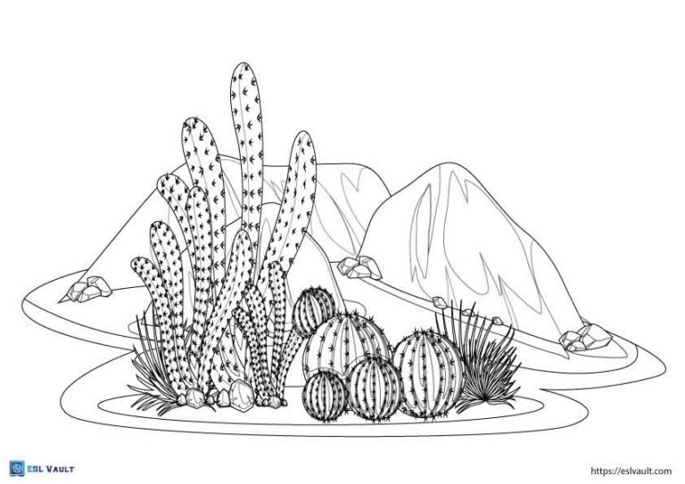 rocks and cacti coloring page
