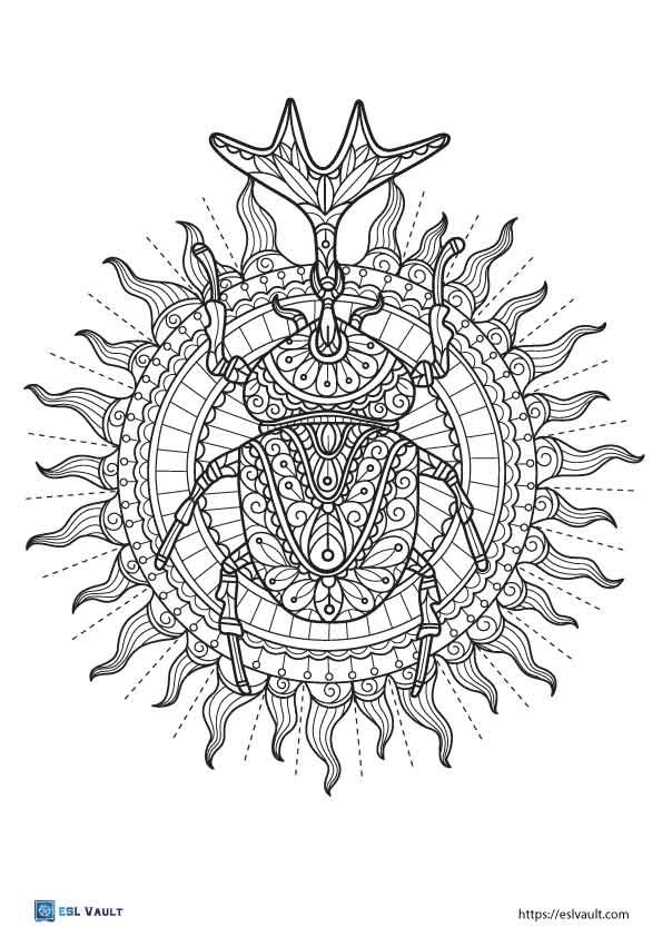 sun beetle coloring page