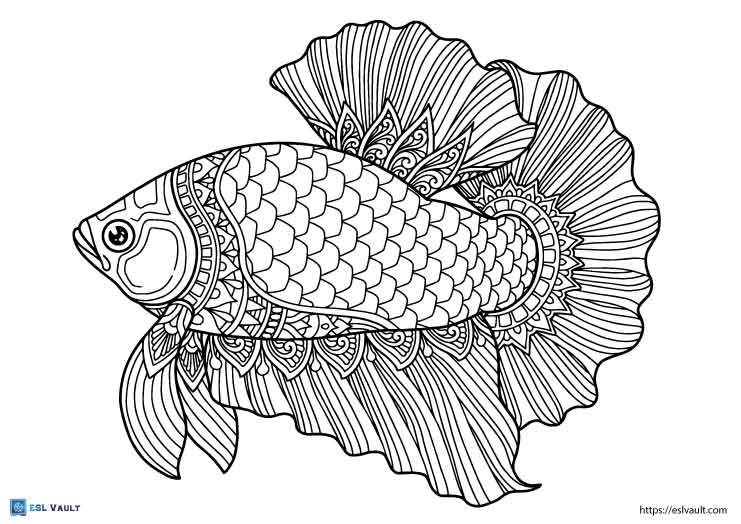 betta fish coloring page adults