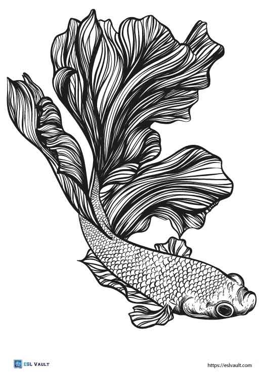 betta fish coloring page