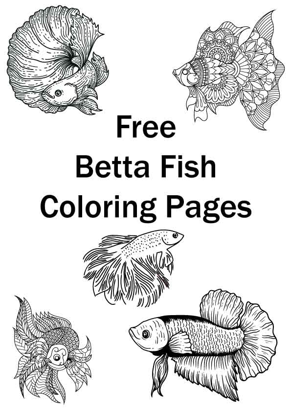 free betta fish coloring page printables