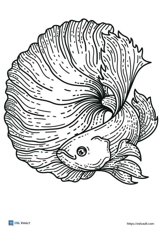 free siamese fighting fish coloring page