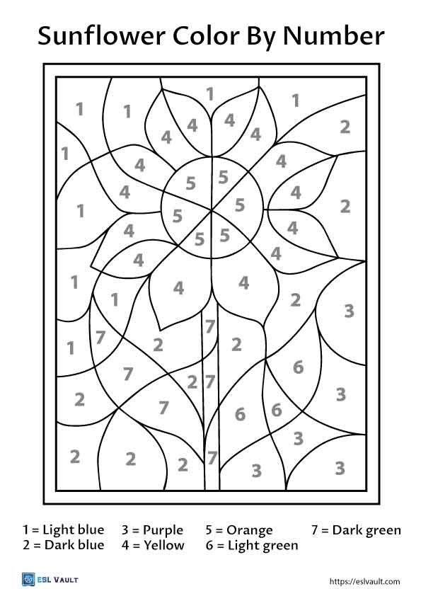 sunflower free color by number