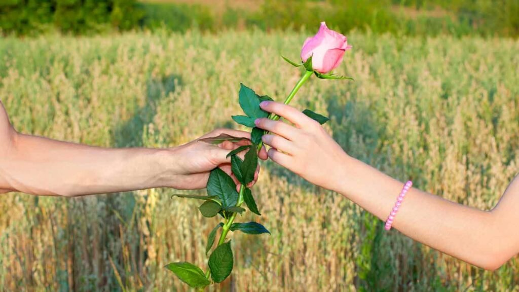 a man giving a rose to a woman