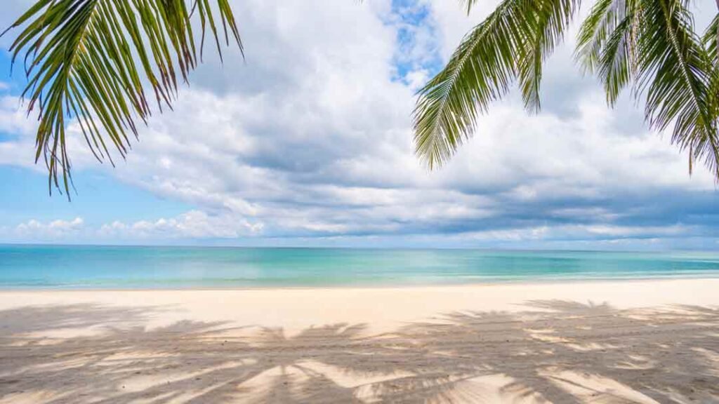 a summer beach scene
