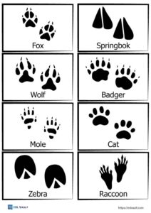 Free printable animal tracks matching game - ESL Vault