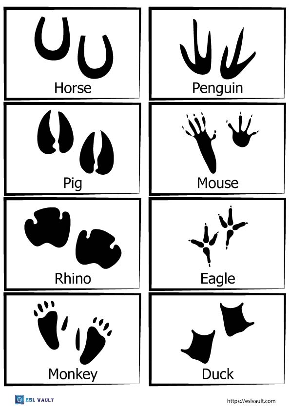 Free printable animal tracks matching game - ESL Vault