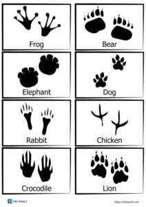 Free printable animal tracks matching game - ESL Vault