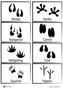 Free printable animal tracks matching game - ESL Vault