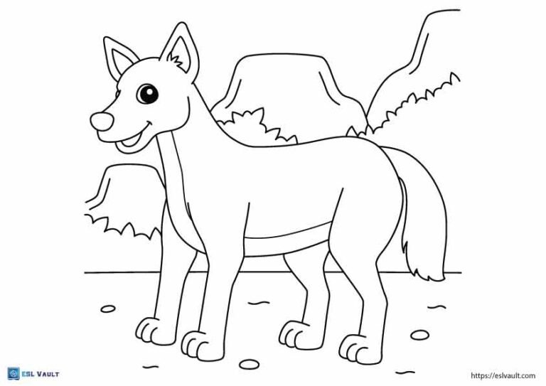 australian animals coloring pages dingo
