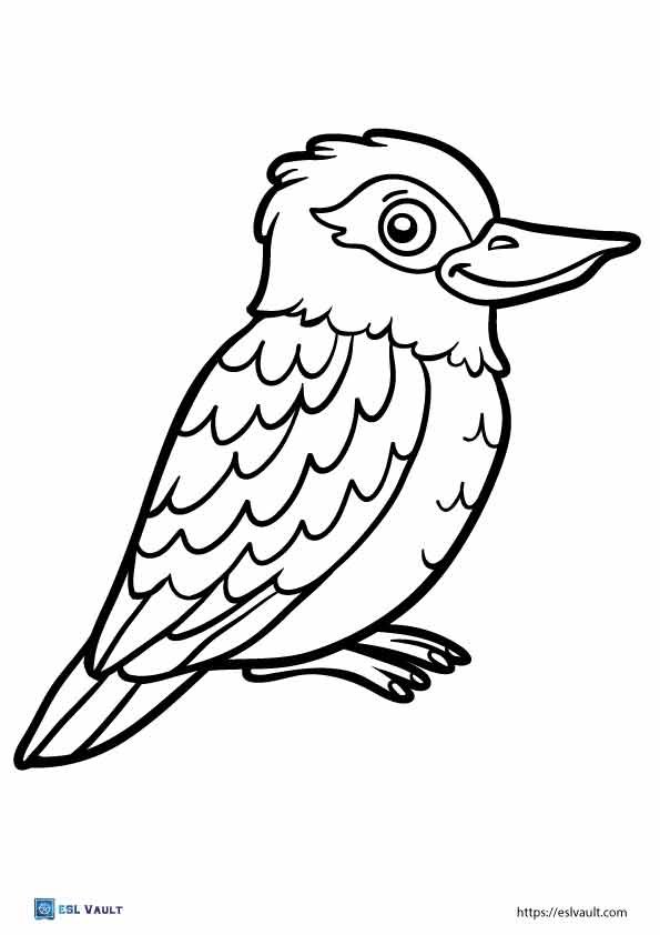 australian animals coloring pages kookaburra