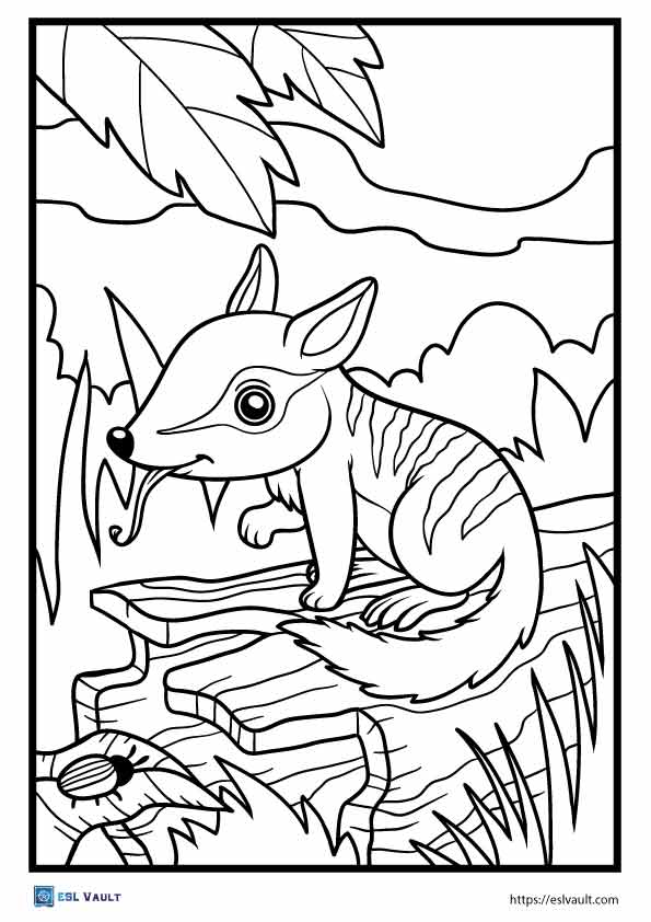 numbat coloring pages