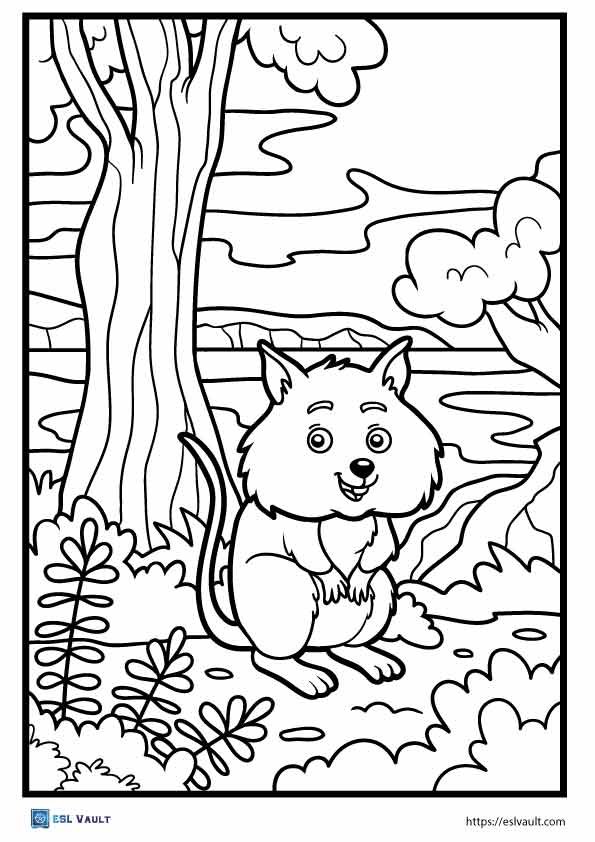 australian animals coloring pages quokka
