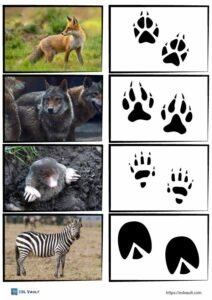 Free printable animal tracks matching game - ESL Vault
