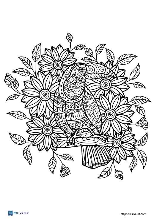 toucan coloring page adult