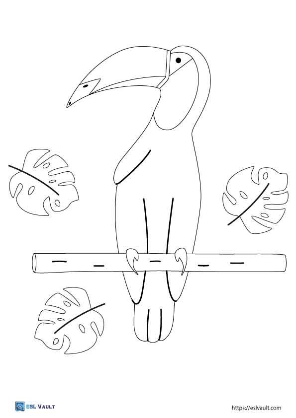 toucan coloring page easy