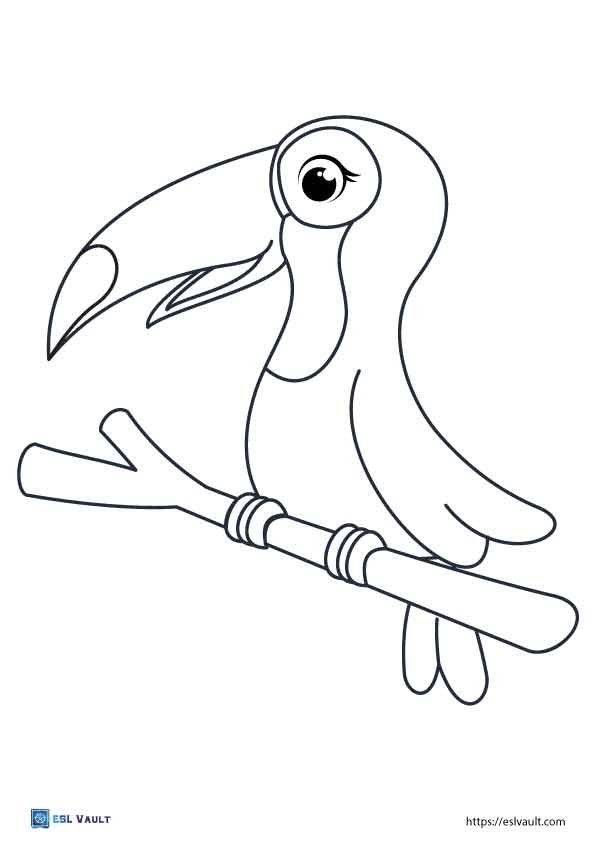toucan coloring page for preschoolers