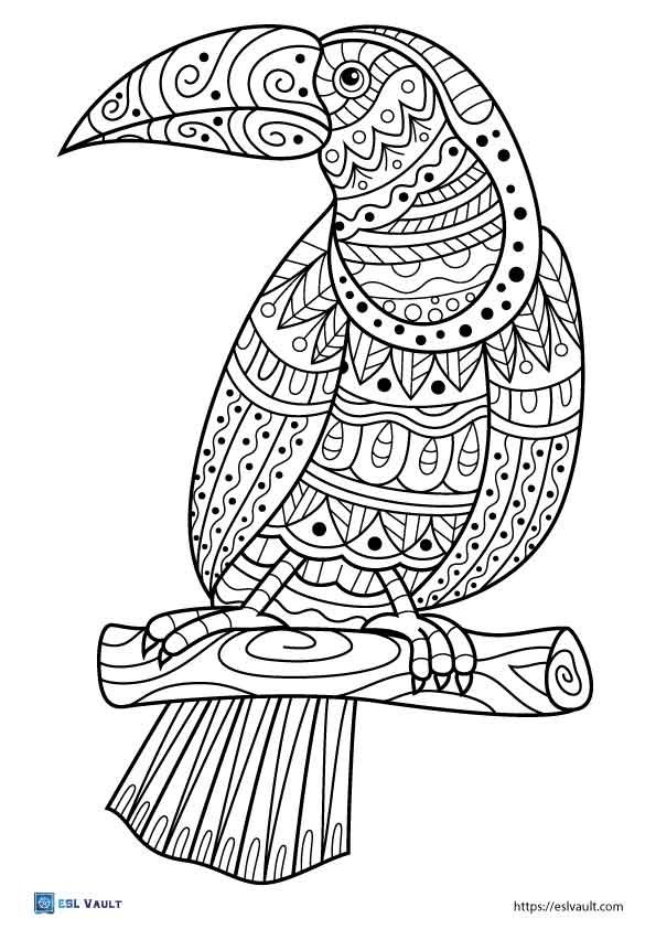 toucan coloring page printable