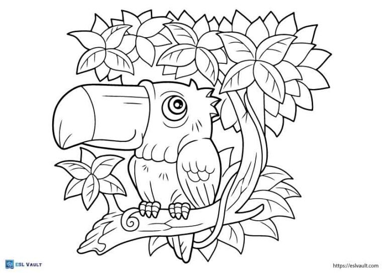 cute toucan coloring page
