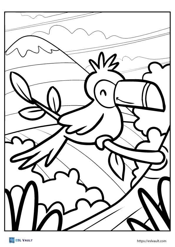 cute toucan coloring page for kids