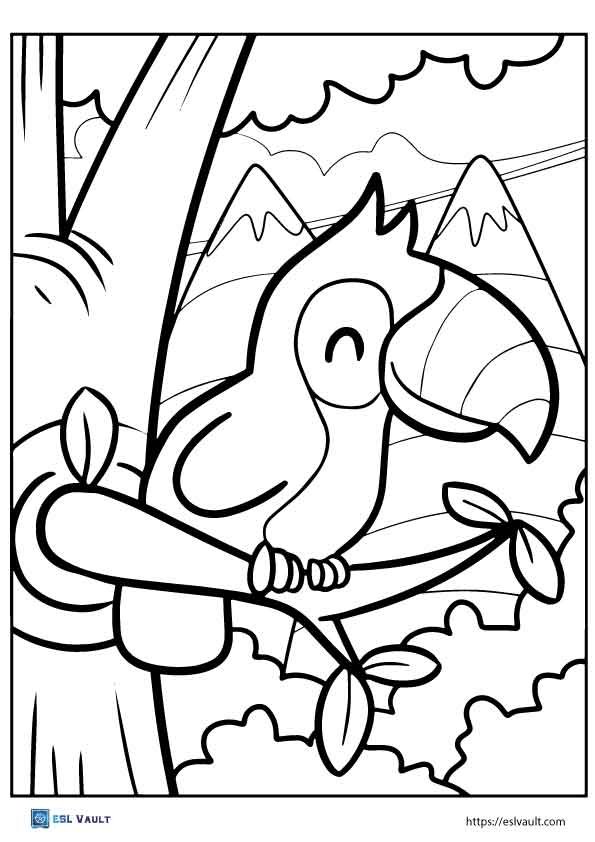 cute toucan coloring sheet