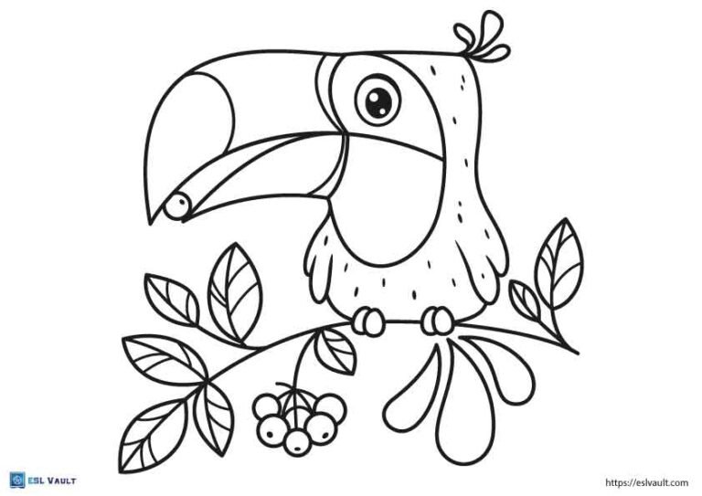 easy toucan coloring page