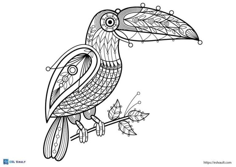 free pdf toucan coloring page