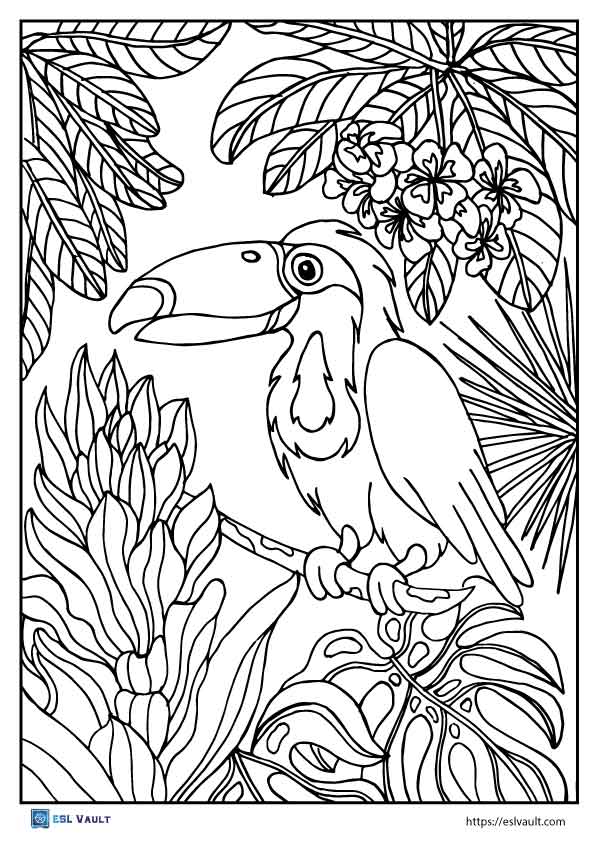 free printable toucan coloring page