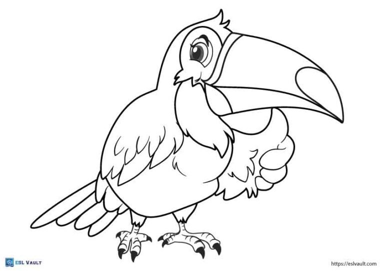 happy toucan coloring page
