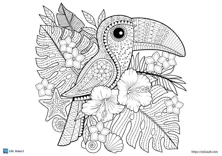 mandala toucan coloring page